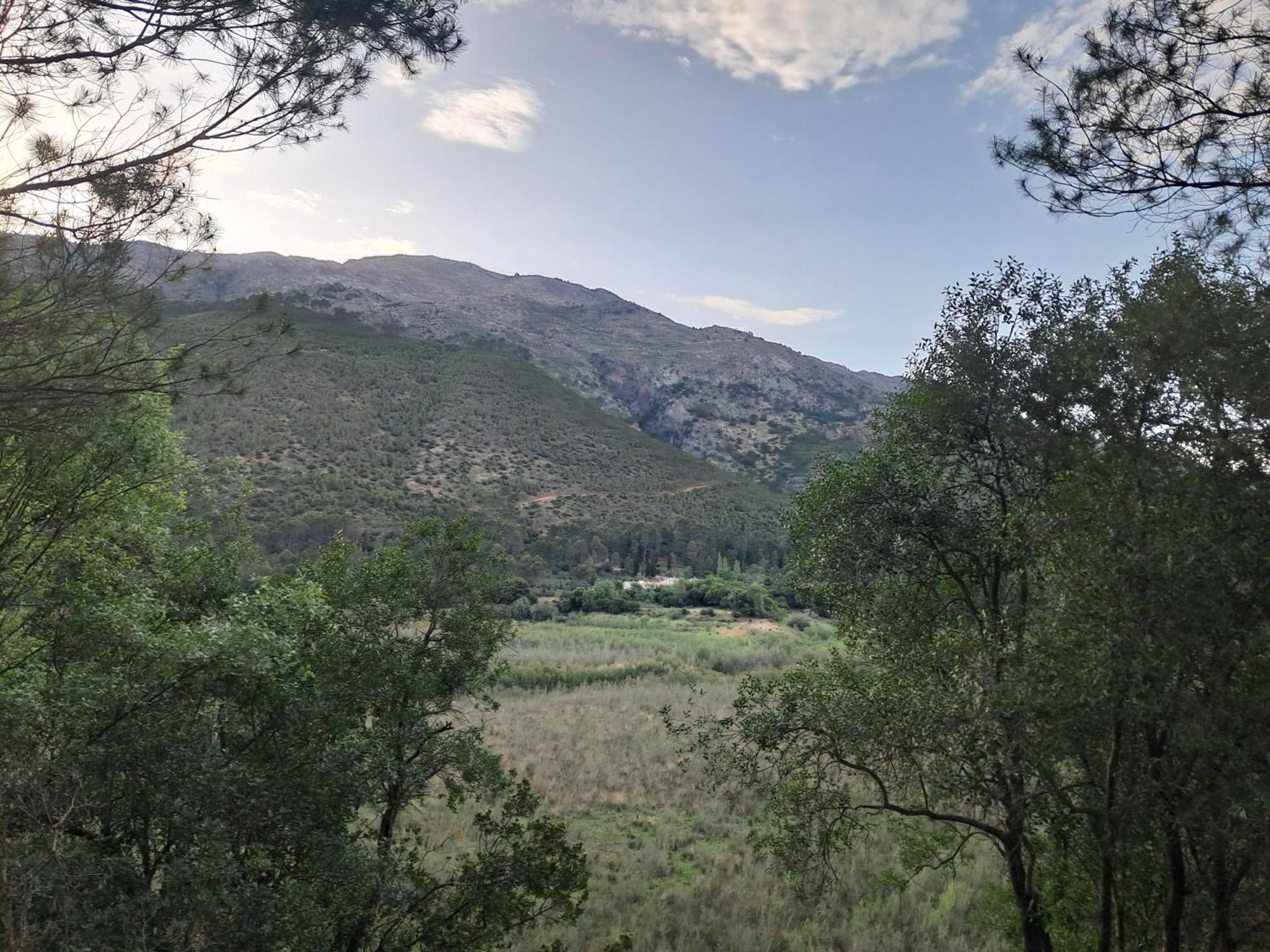 Apartamentos El Madronal Coto Rios Exteriör bild