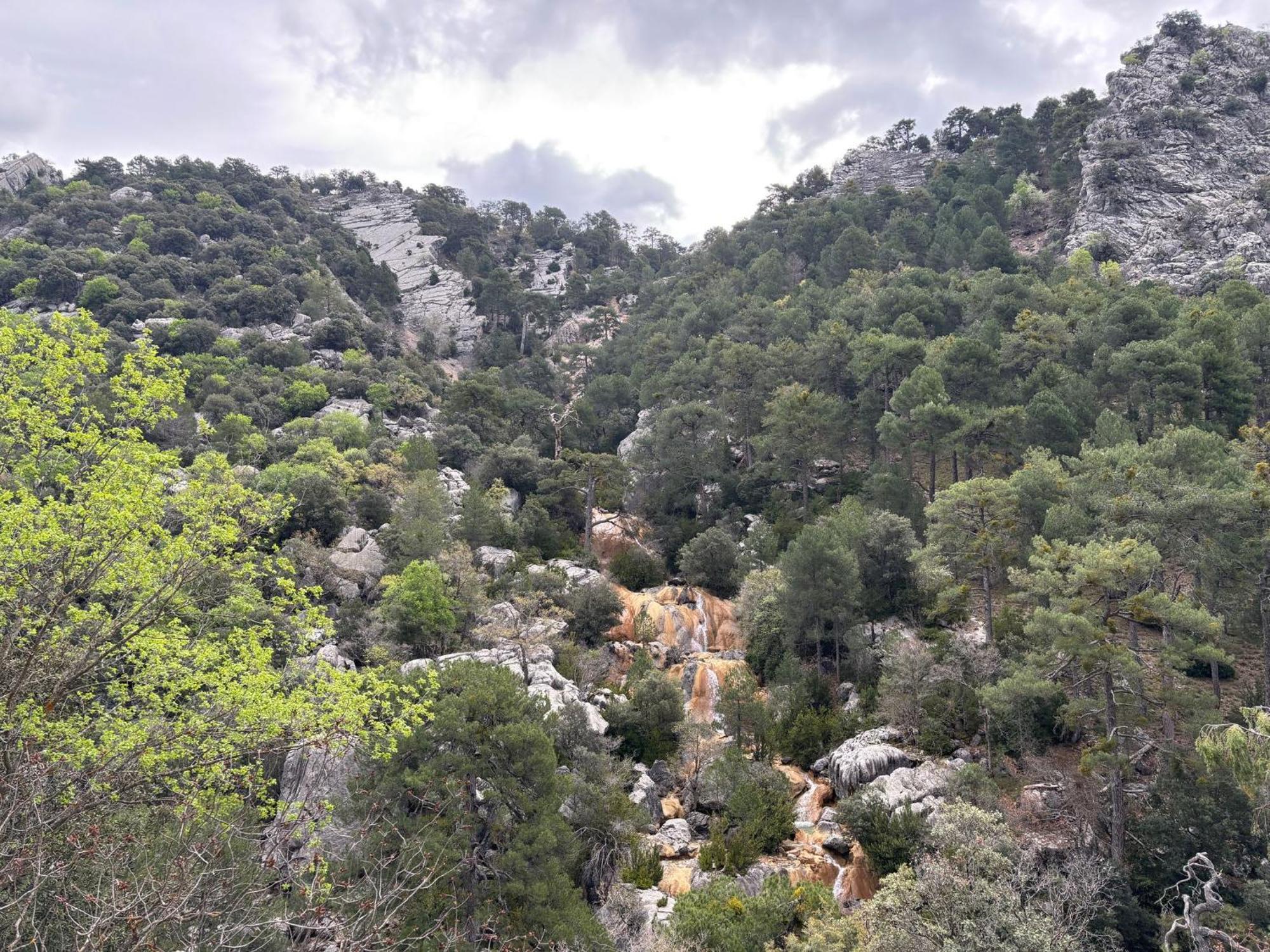 Apartamentos El Madronal Coto Rios Exteriör bild