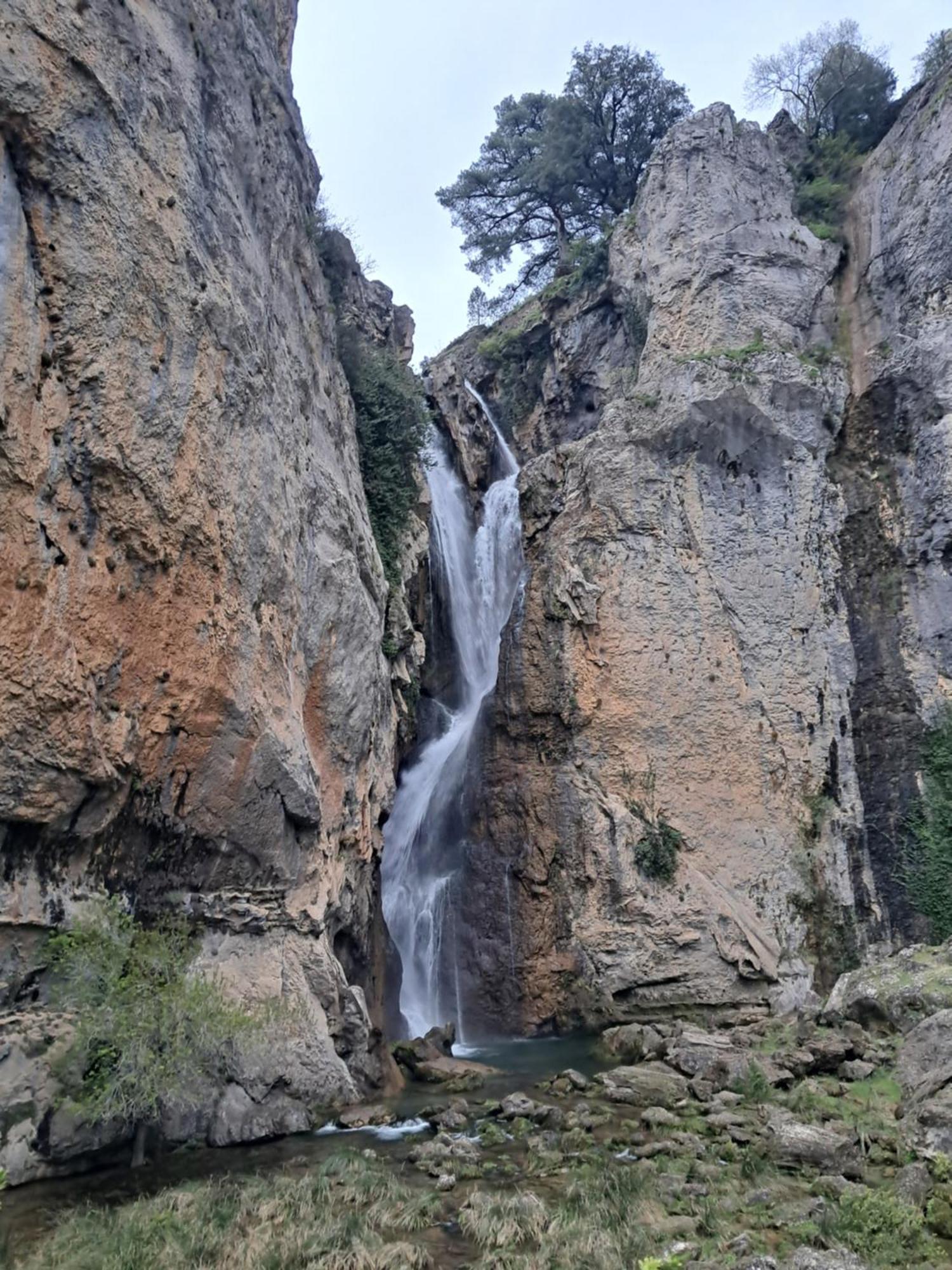Apartamentos El Madronal Coto Rios Exteriör bild